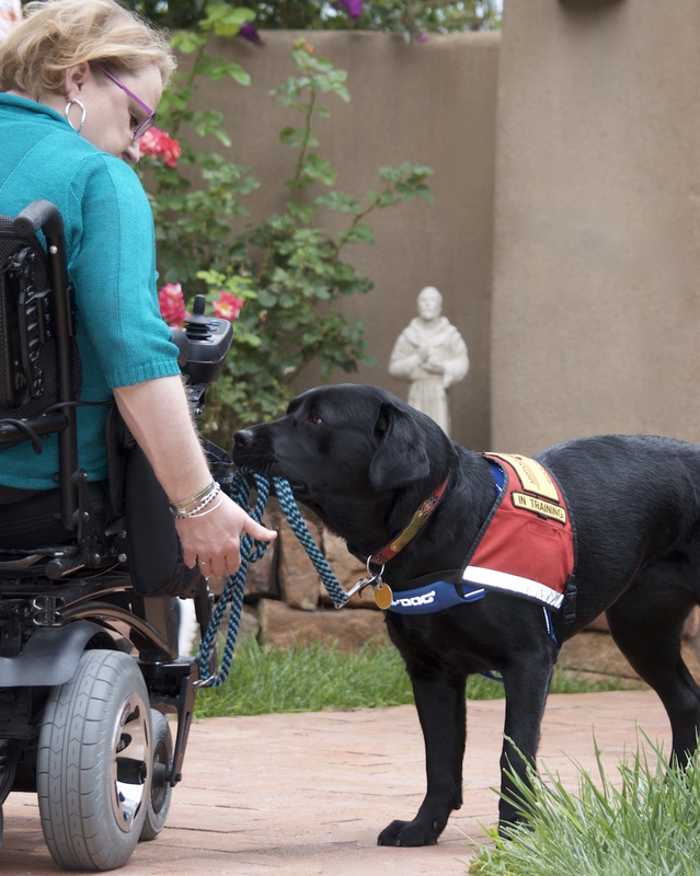 Assistance Dogs of the West