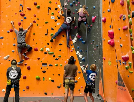 rock climbers on an indoor wall