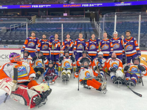 ice and sled hockey players